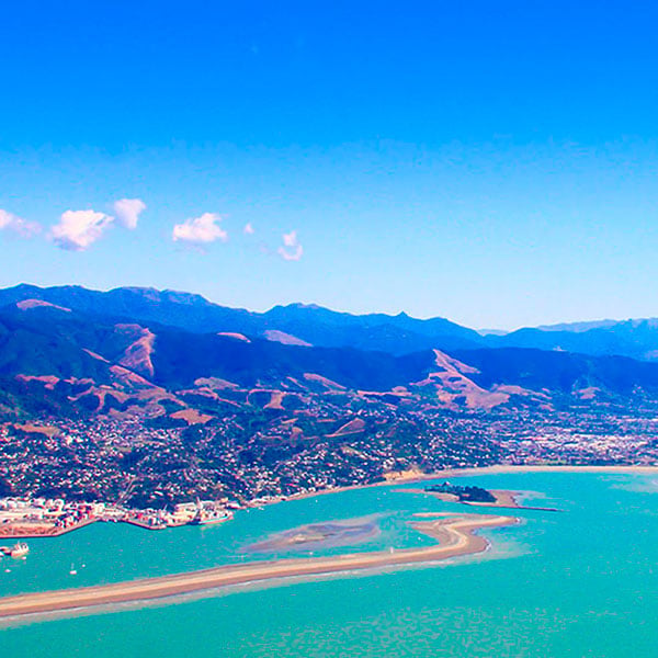 Nelson